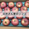 白井田七の白井さんちの10個限定無農薬りんごを買ってみた。