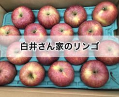 白井さん家の無農薬有機栽培のリンゴ